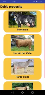 Razas de Vacas android App screenshot 0