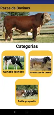 Razas de Vacas android App screenshot 3